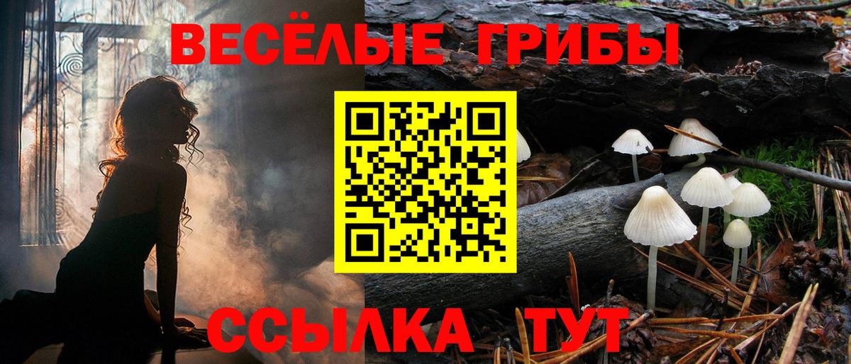 Псилоцибиновые грибы мицелий  Вход с VPN  Новодвинск 